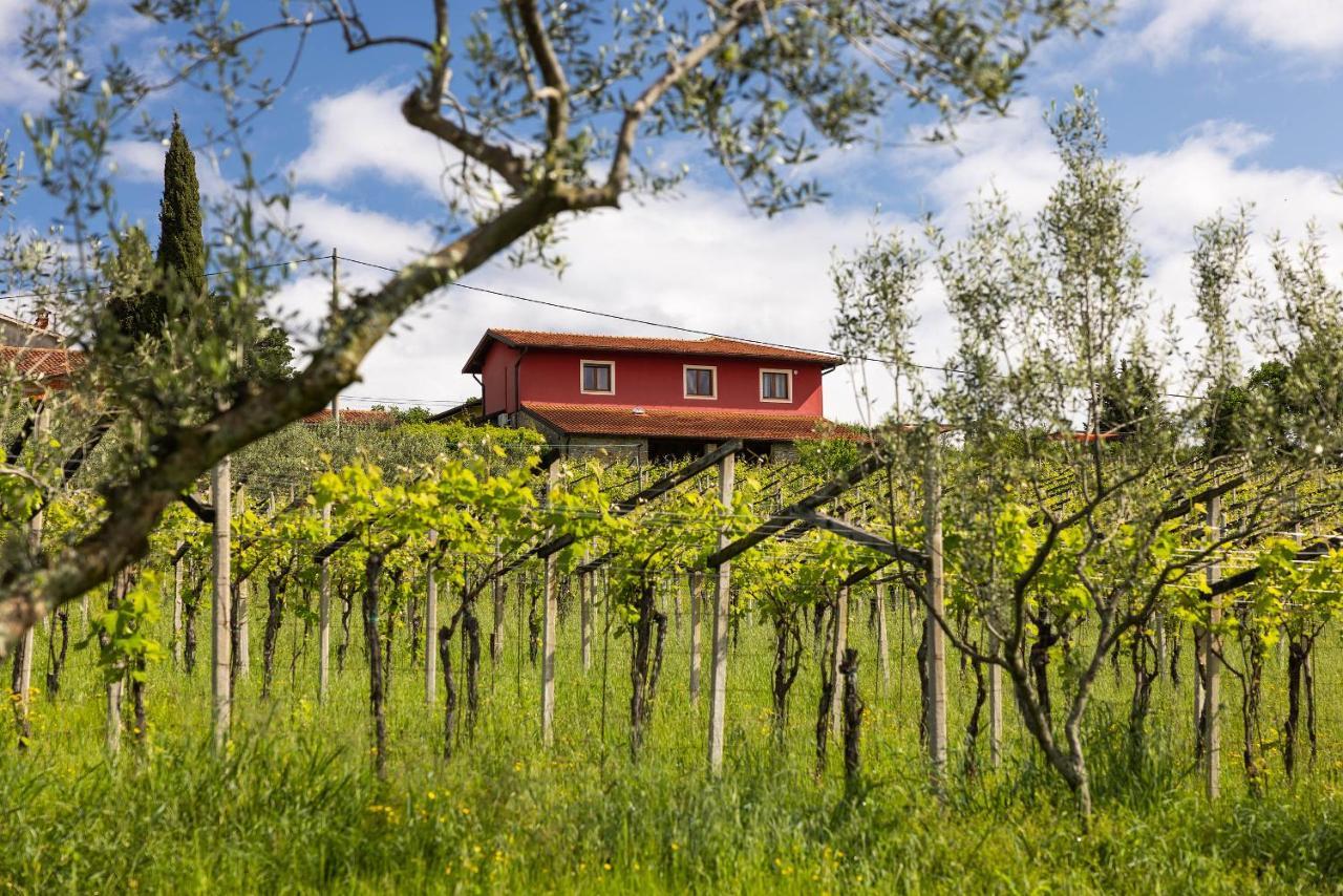 Touristfarm - Apartments "Red Fairytale" Marezige Eksteriør billede