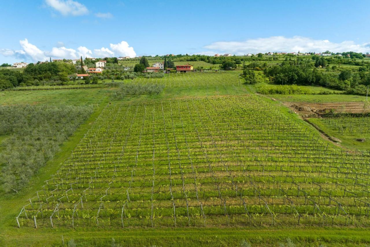 Touristfarm - Apartments "Red Fairytale" Marezige Eksteriør billede
